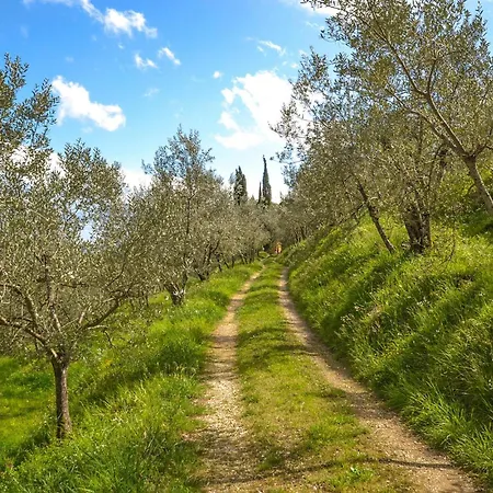 Lejlighed Awesome In Terranuova Bracciolini